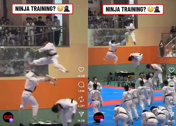 TSN 공식 인스타그램 캡쳐 화면 (사진=서경덕 교수팀)